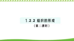 1.2.2 組織的形成 課件 冀少版（2024）生物學(xué)七年級上冊