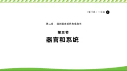 1.2.3器官和系統(tǒng) 課件 冀少版（2024）生物學(xué)七年級上冊