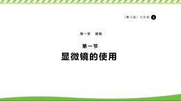 1.1.1顯微鏡的使用 課件 冀少版（2024）生物學(xué)七年級上冊
