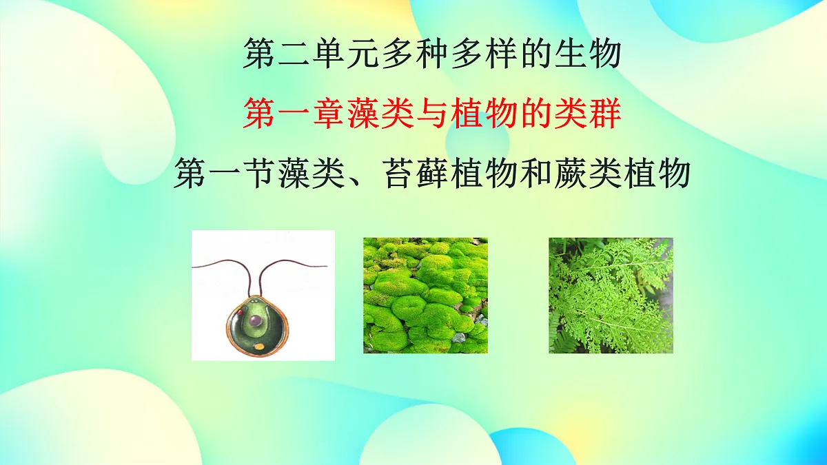 17360744第1页