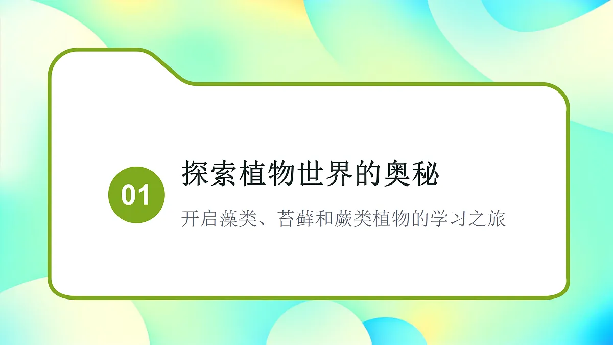 17360744第2页