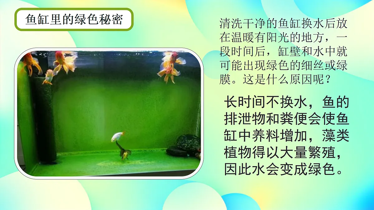 17360744第3页
