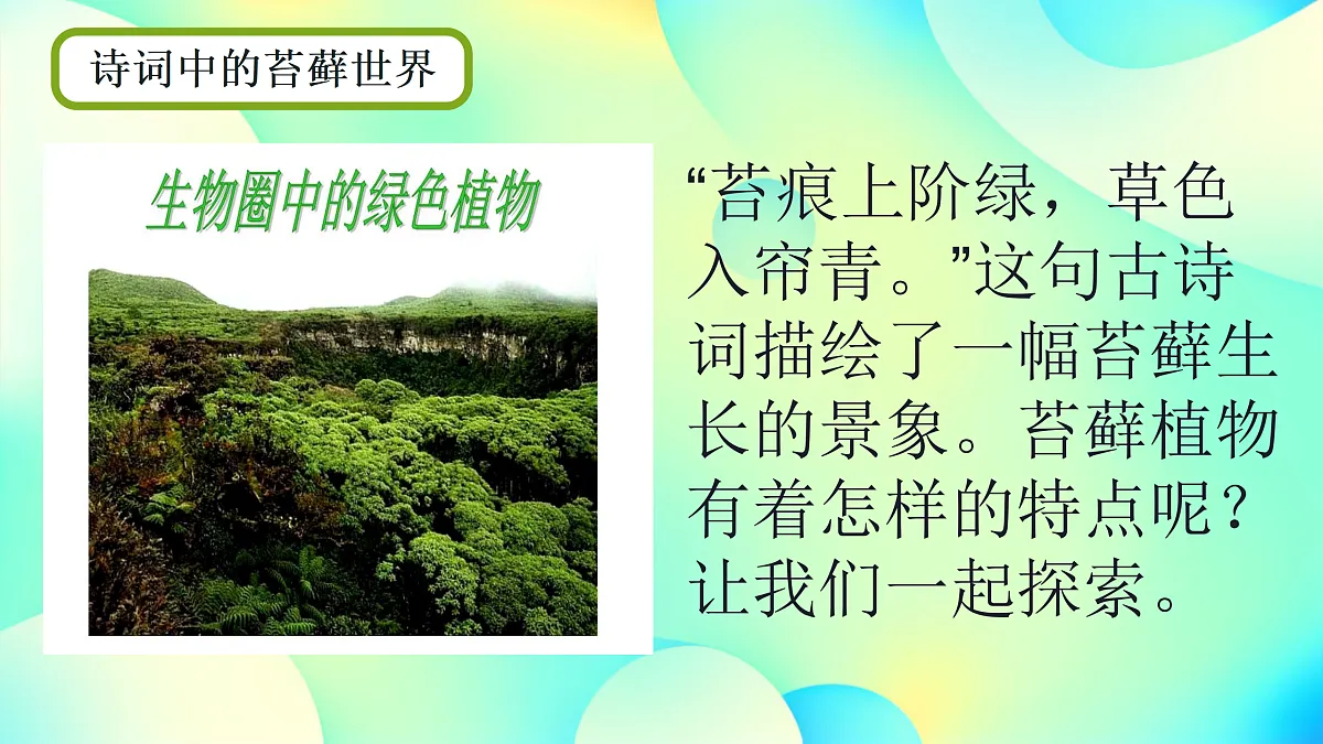 17360744第4页