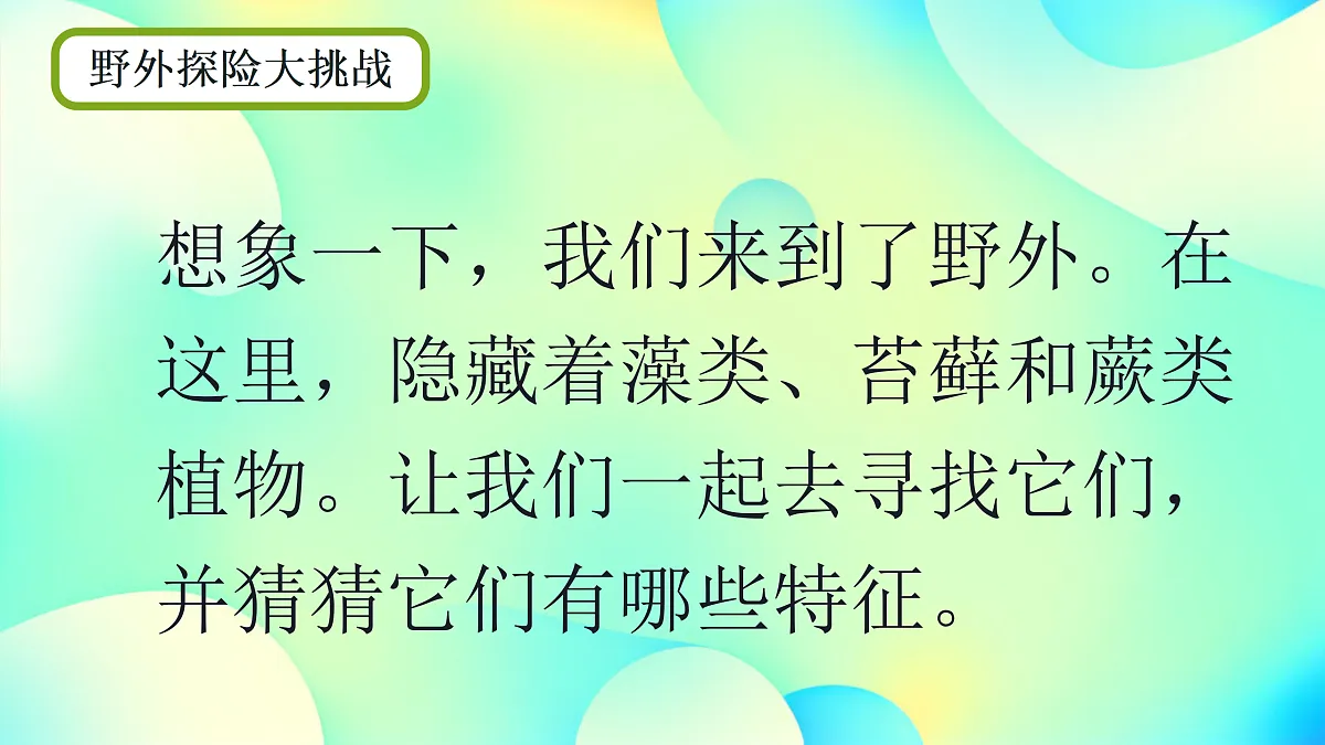 17360744第5页
