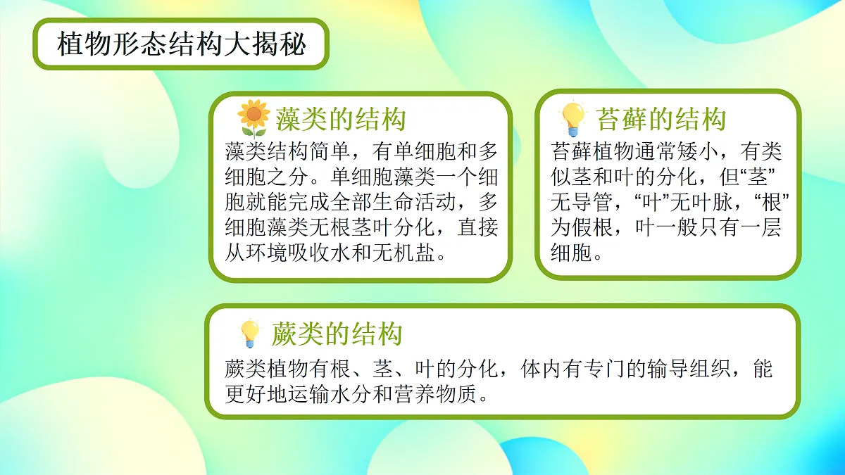 17360744第7页