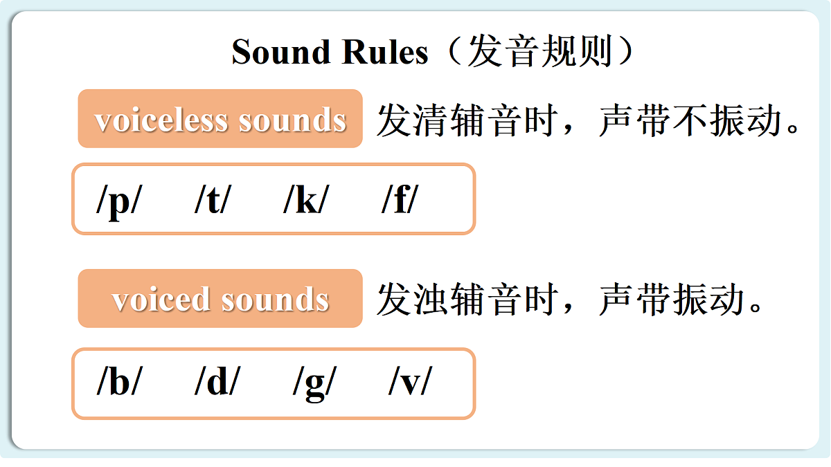 17360784第5页