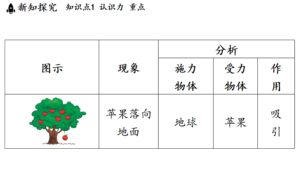 17361769第6页