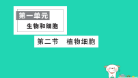 初中生物人教版（2024）七年级上册（2024）植物细胞作业课件ppt