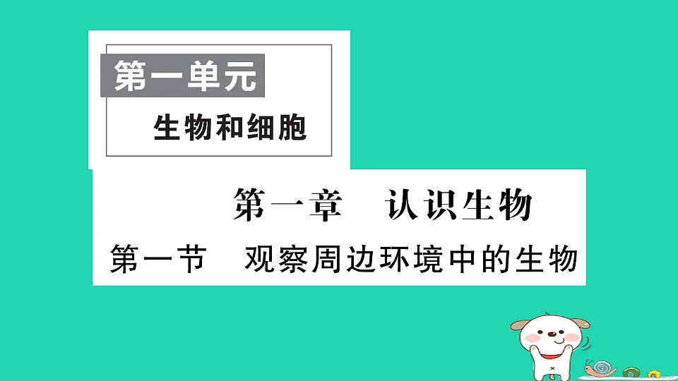 17361827第1页