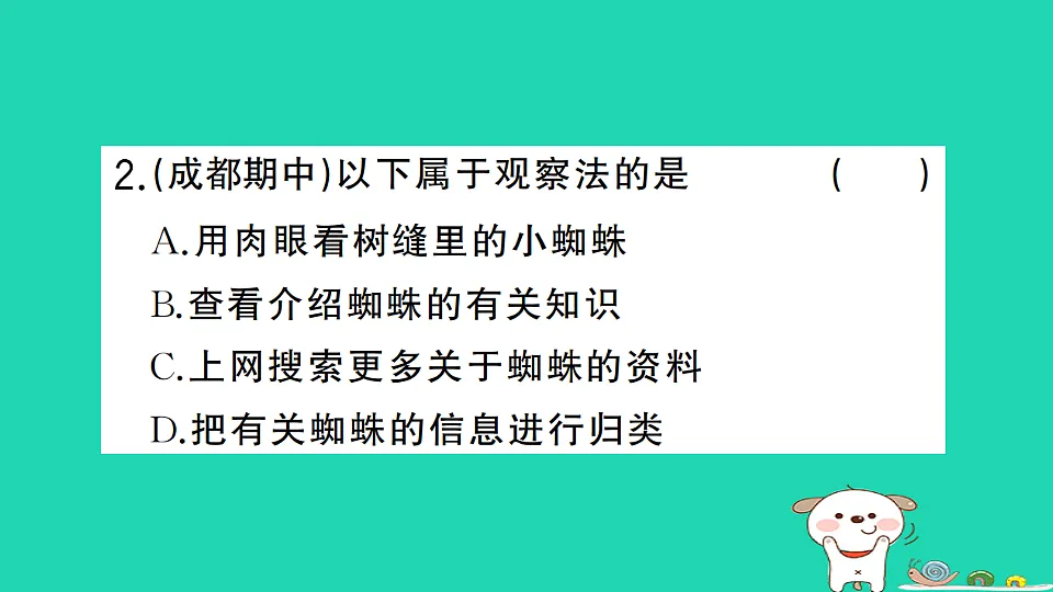 17361827第3页