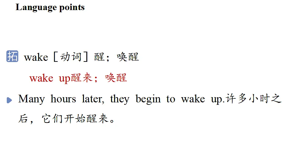 17361869第8页