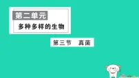 初中生物人教版（2024）七年级上册（2024）真菌作业ppt课件