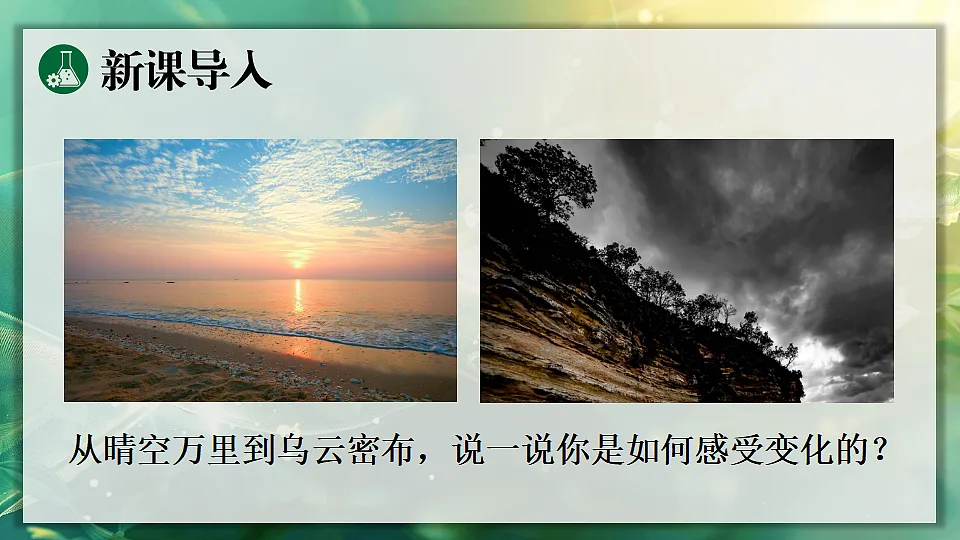 17362117第3页