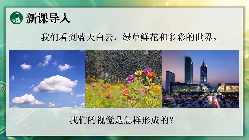17362117第4页