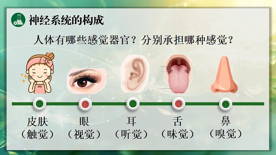 17362117第5页