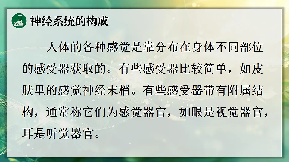 17362117第6页