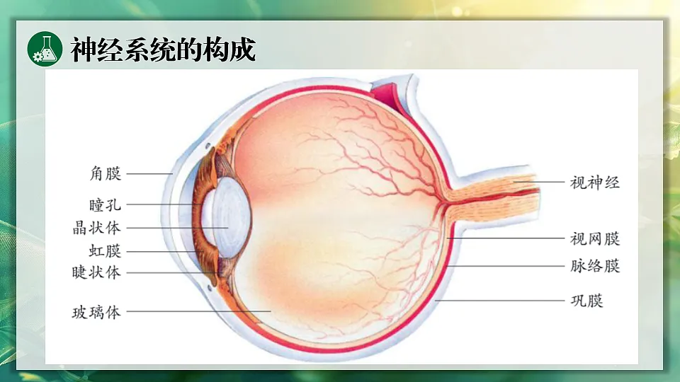 17362117第8页