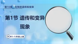 16.1 遺傳和變異現(xiàn)象 課件 2025-2026學(xué)年北師大版版八年級(jí)生物