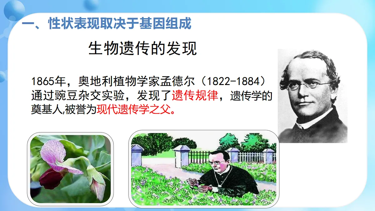 17362172第4页