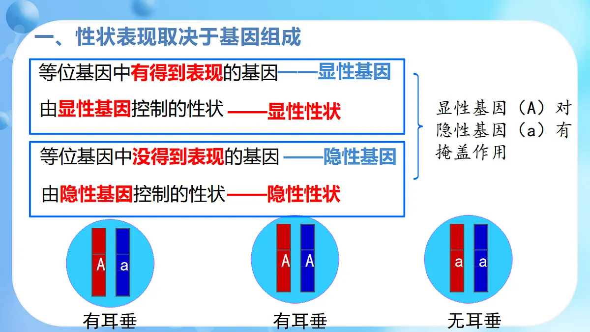 17362172第7页