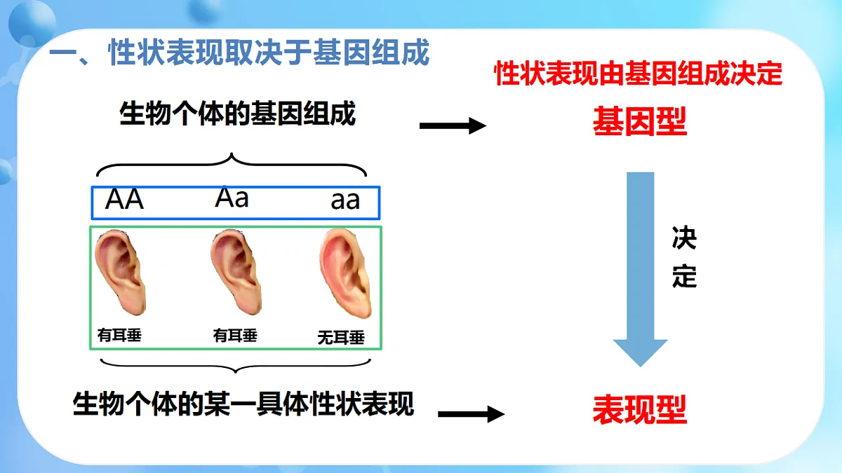 17362172第8页