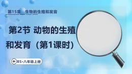 15.2.1 昆蟲(chóng)和兩棲類(lèi)動(dòng)物的生殖發(fā)育 課件 2025-2026學(xué)年北師大版八年級(jí)生物上冊(cè)