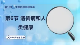 16.6 遺傳病和人類(lèi)健康課件  2025-2026學(xué)年北師大版版八年級(jí)生物