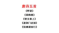 人教部编版(2024)八年级上册(2024)第三单元14 唐诗五首授课ppt课件