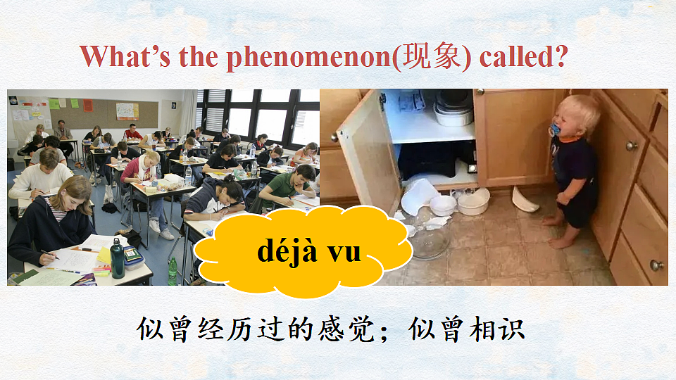 17362845第5页