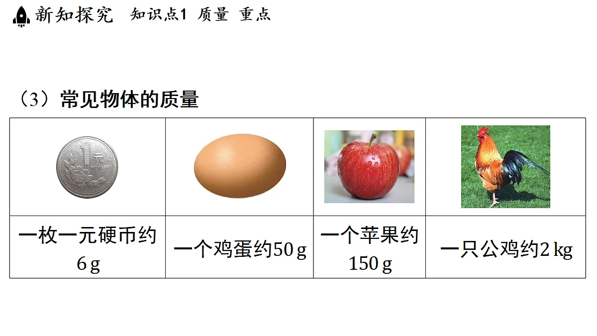 17363613第5页