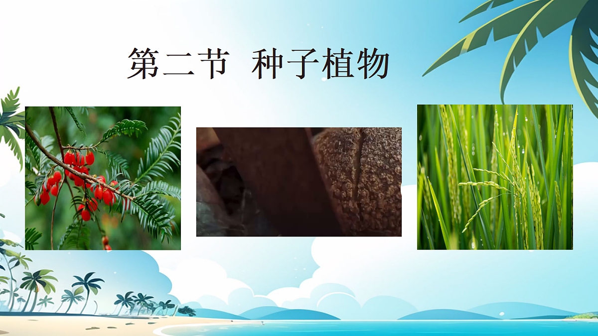 17363833第1页