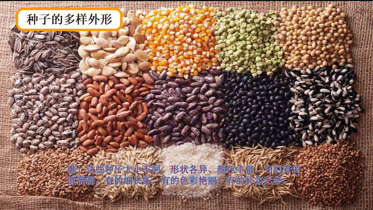 17363833第4页