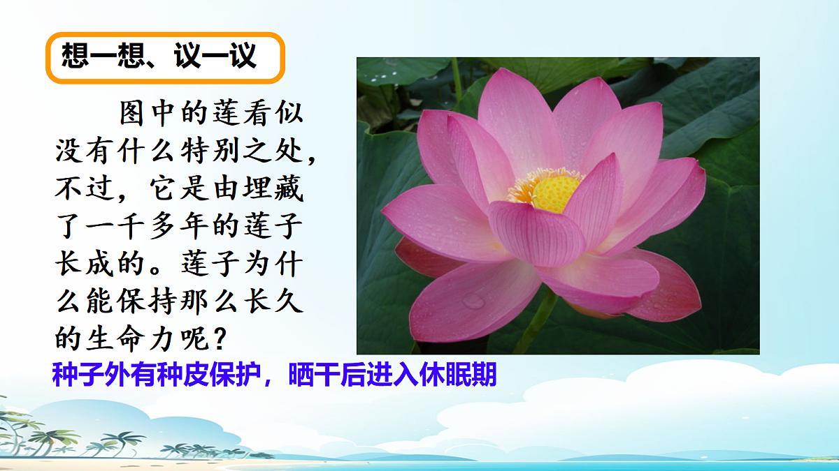 17363833第6页