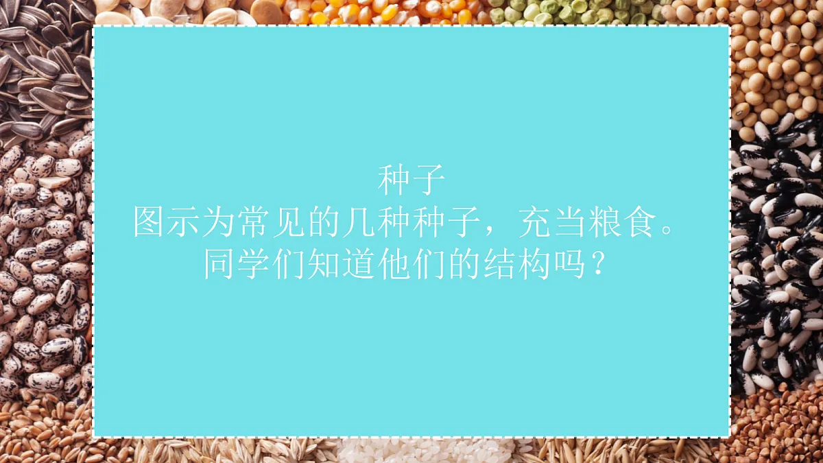 17363835第2页