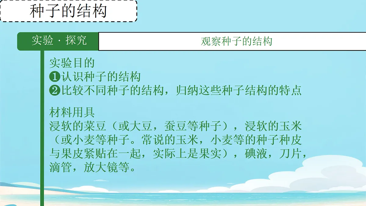 17363835第3页