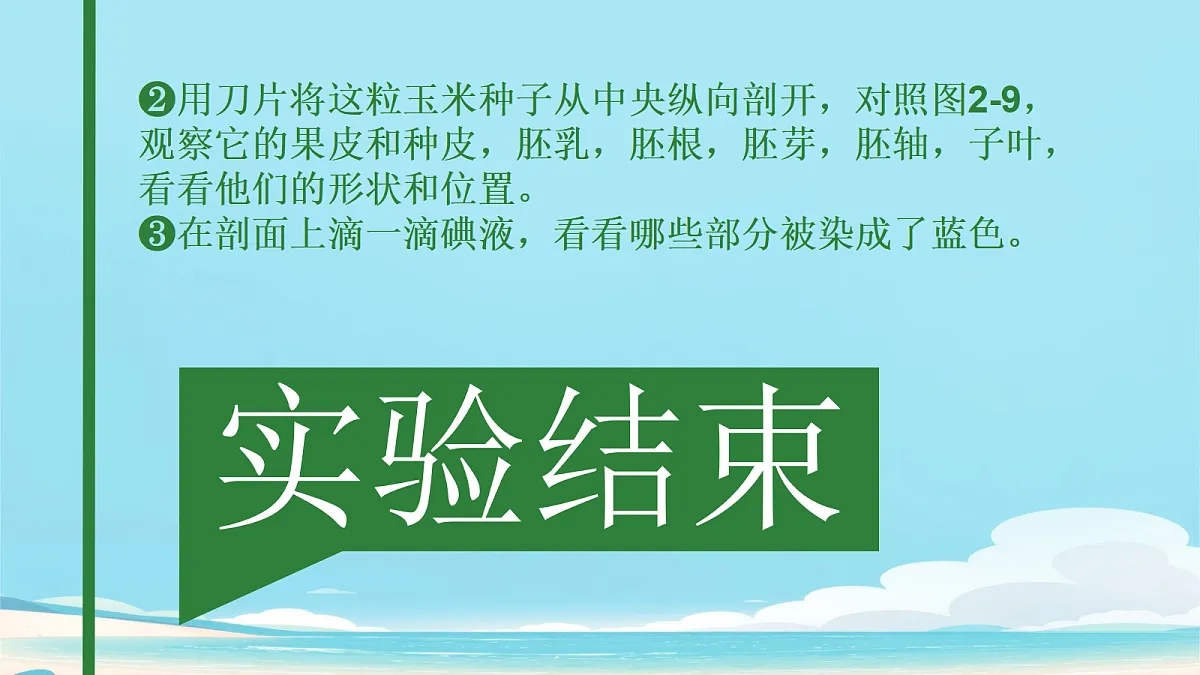 17363835第5页