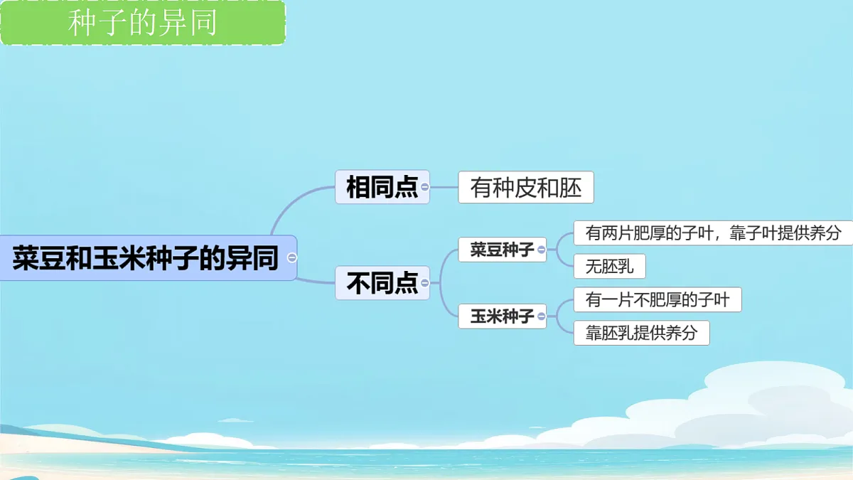 17363835第7页