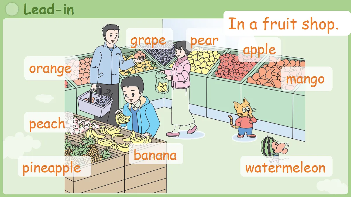 17364696第4页