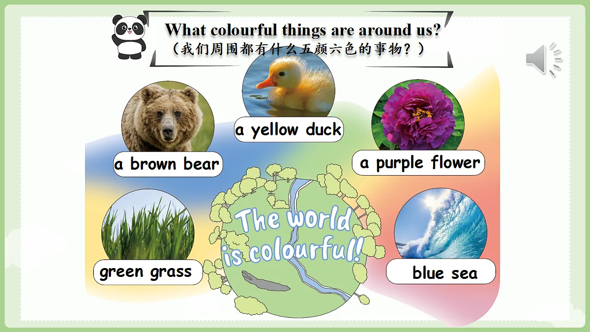 17364703第5页