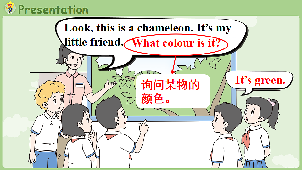17364704第8页