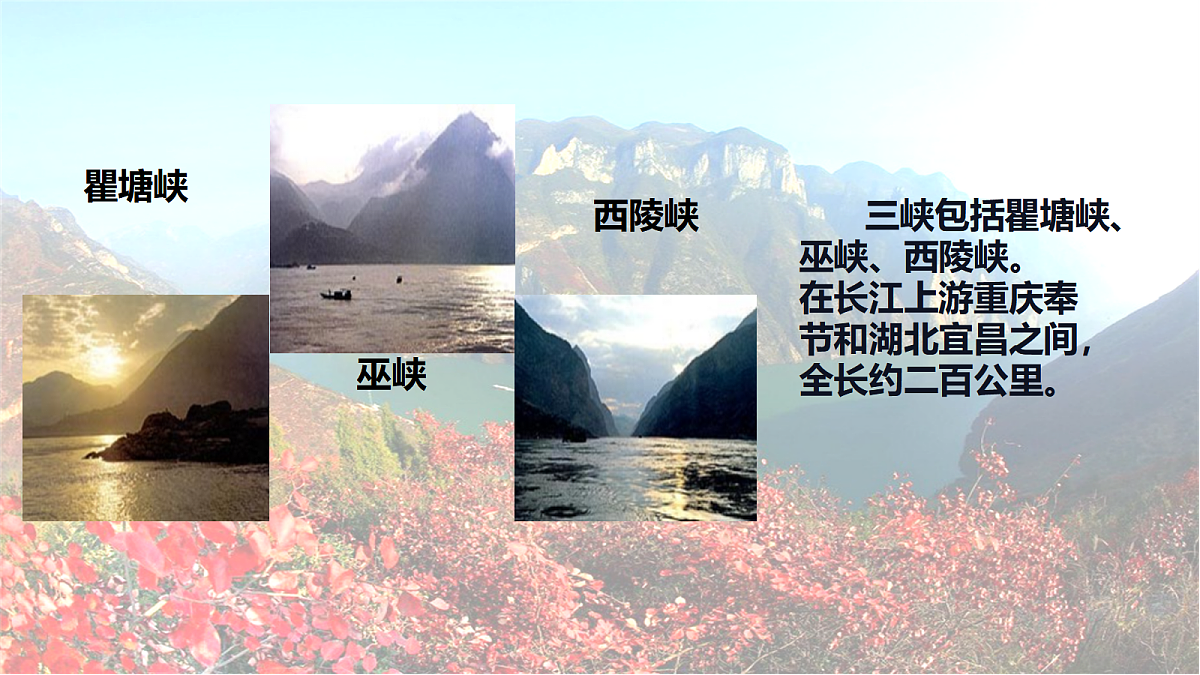 17365297第4页