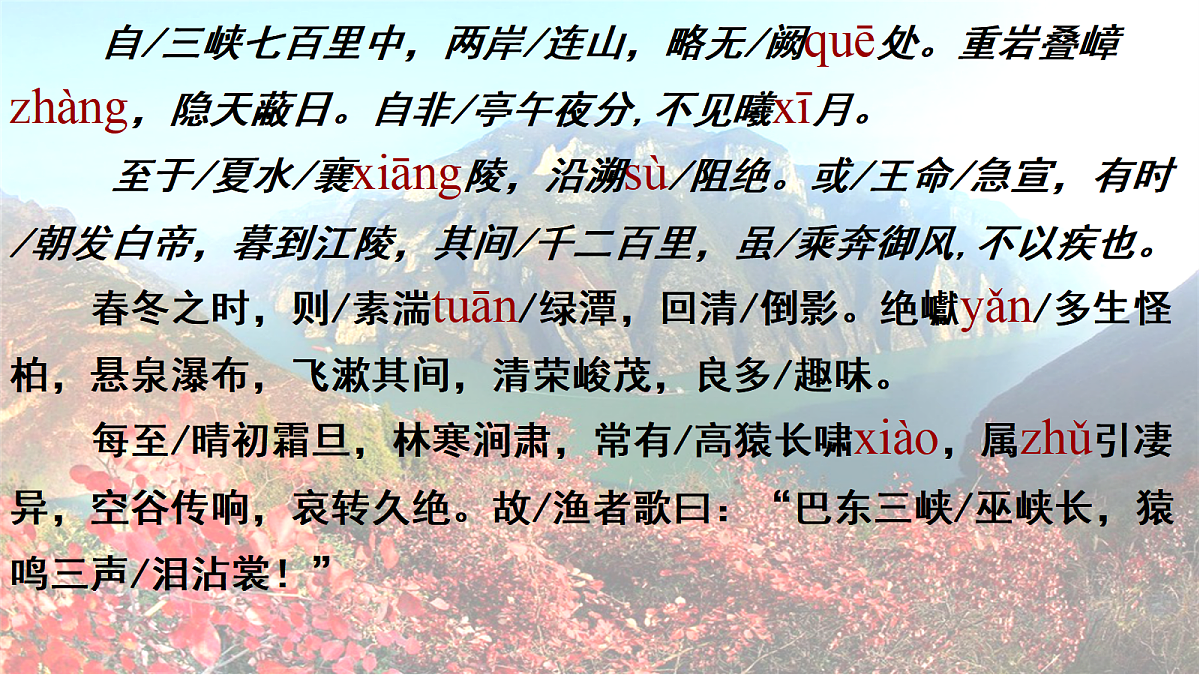 17365297第7页
