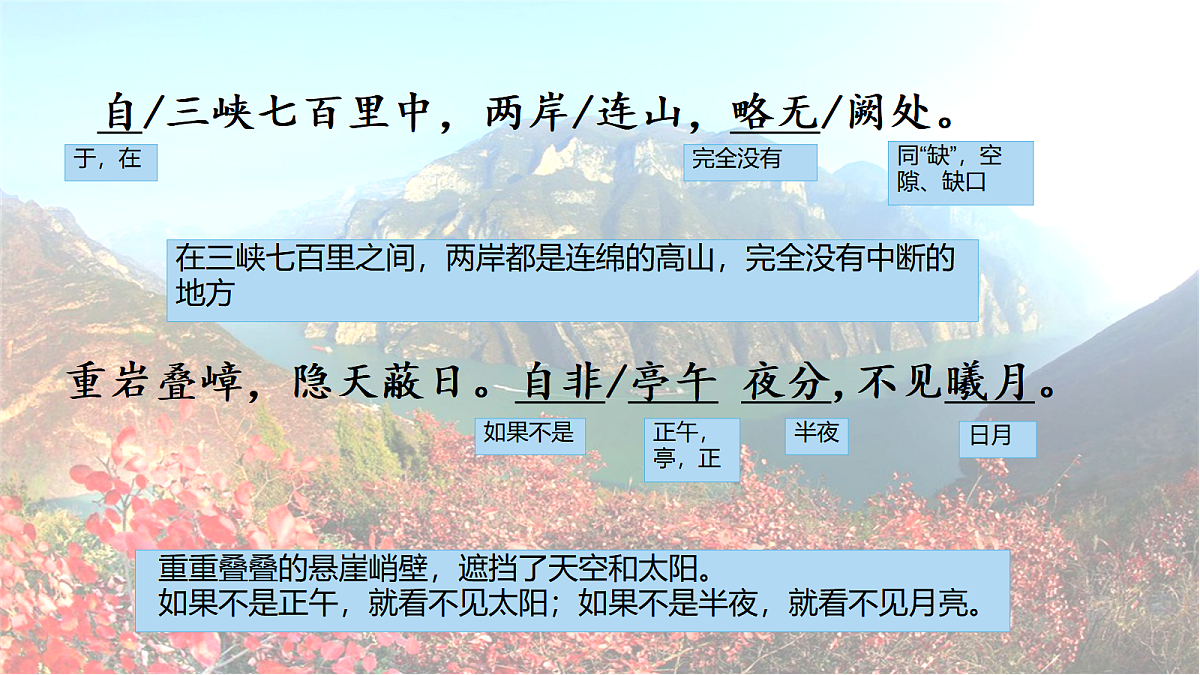 17365297第8页