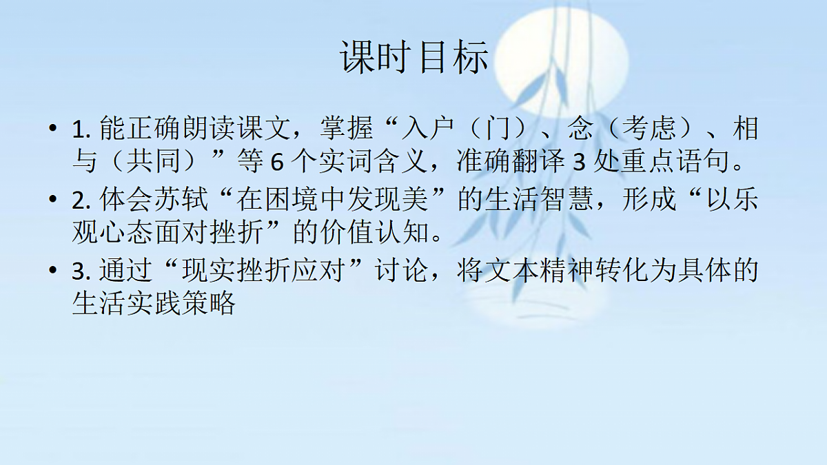 17365301第3页