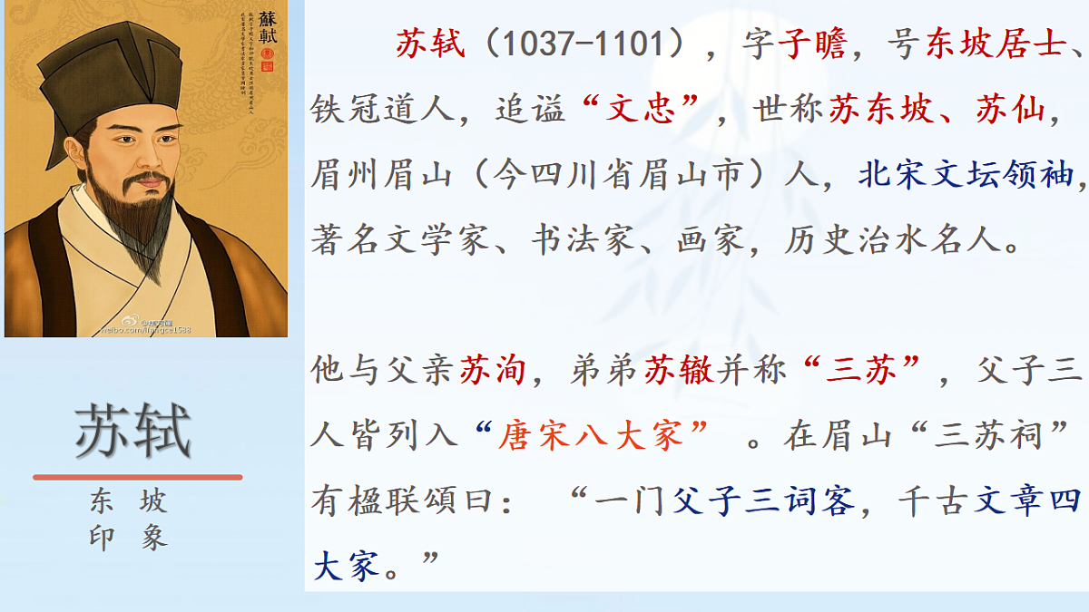 17365301第4页