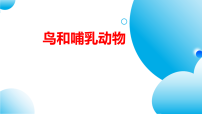初中生物人教版（2024）七年级上册（2024）鸟和哺乳动物图文ppt课件