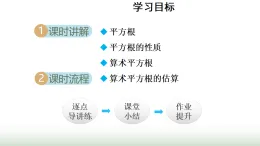 华师大版八年级数学上册第10章数的开方10.1.1平方根（1）课件