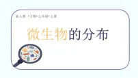 七年级上册（2024）微生物的分布教学演示课件ppt