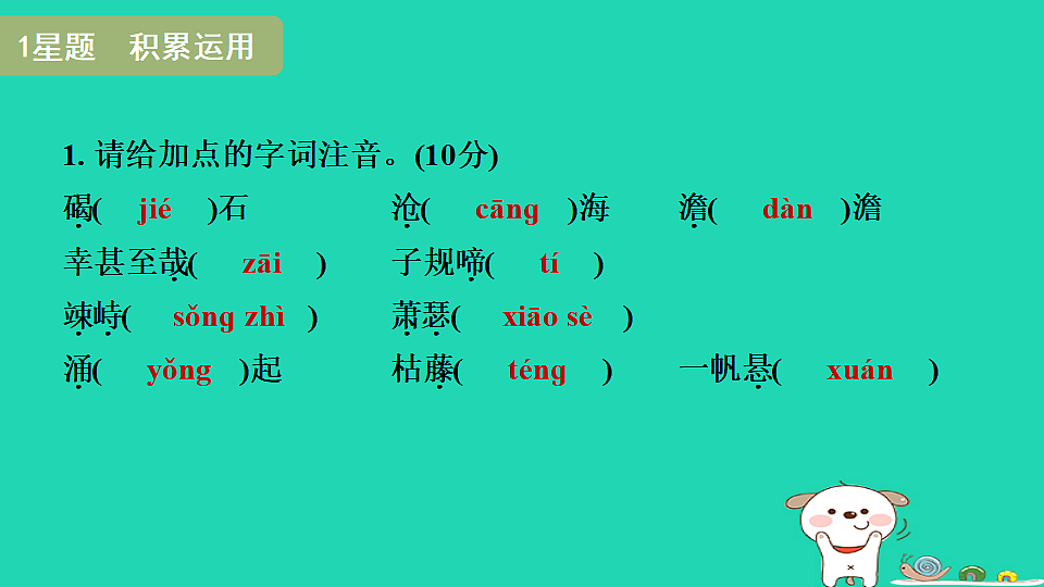 17365677第3页