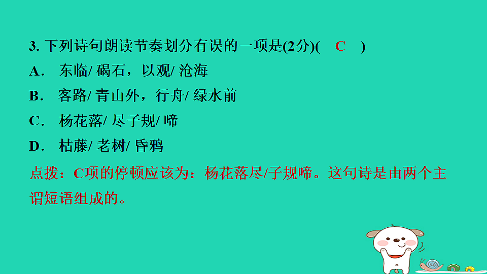 17365677第5页